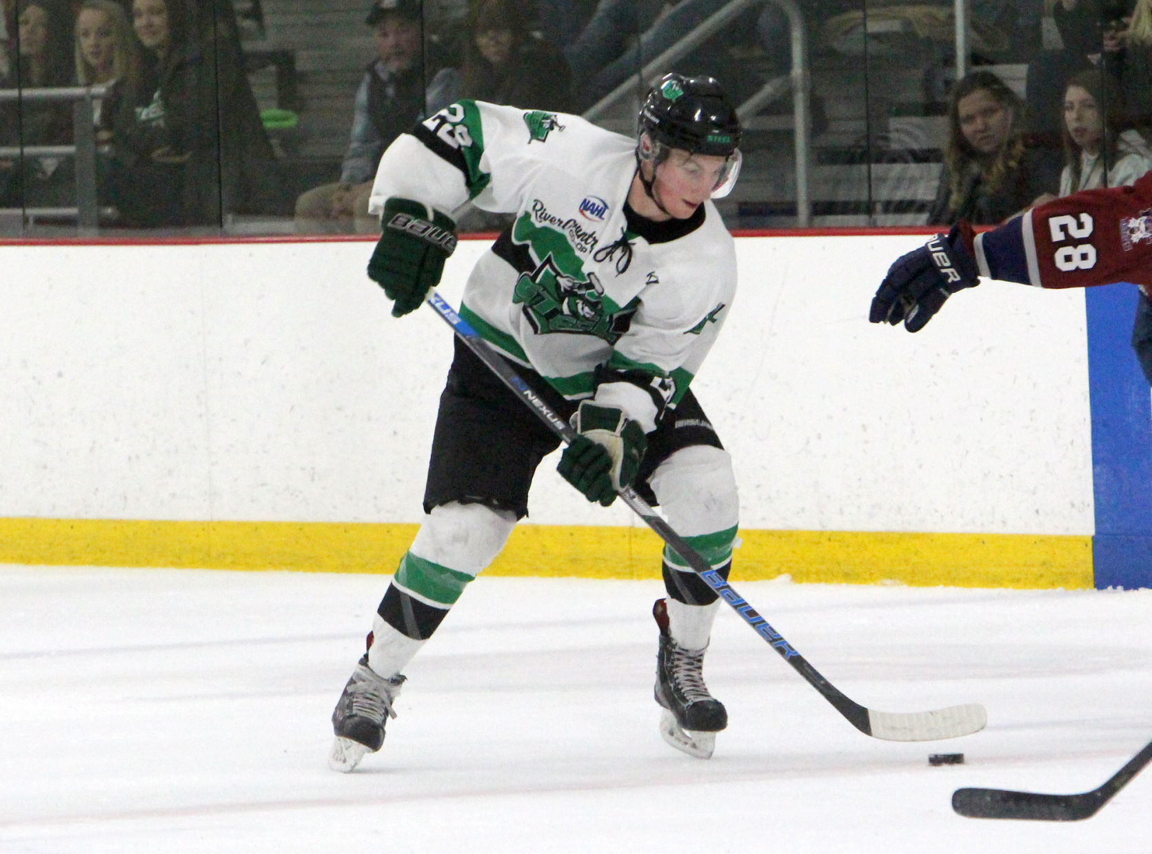 Fairbanks Ice Dogs at Chippewa Steel 12-29-18